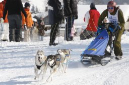 Lenk 2012 SM